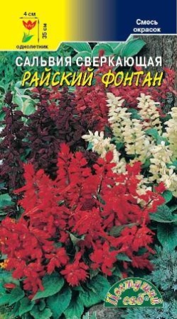 Семена Сальвия Райский Фонтан СМЕСЬ Цветущий сад Уценка (остаточный срок годности менее месяца)