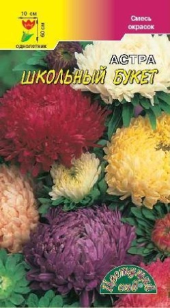 Семена Астра Смесь Школьный букет пионовидная Цветущий сад