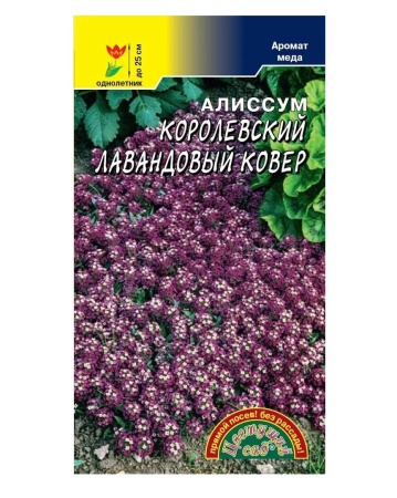 Семена Алиссум Королевский Лавандовый ковер Цветущий сад