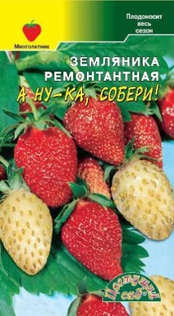 Семена Земляника А ну-ка,собери! СМЕСЬ сортов Цветущий сад