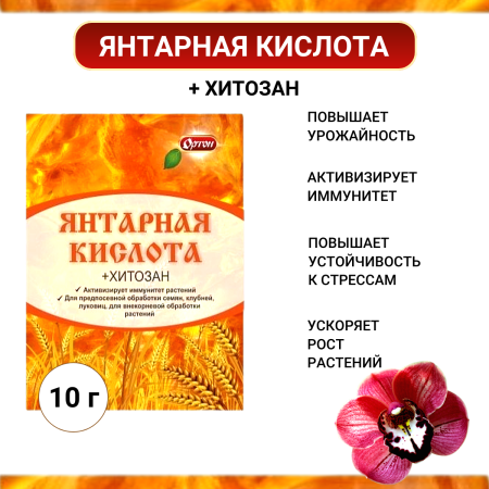 Янтарная кислота + Хитозан 10 г