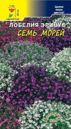 Семена Лобелия Семь Морей СМЕСЬ Цветущий сад