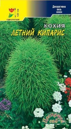 Семена Кохия Летний кипарис Цветущий сад Уценка (остаточный срок годности менее месяца)