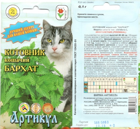 Семена Котовник кошачий Бархат Уральский Дачник